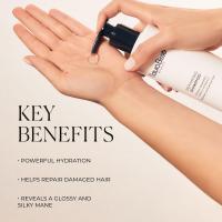 N+B Champú Reparador Hidratante Aroma a Romero y Té Blanco |   Para todo tipo de cabello, 10 Oz - details 2