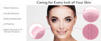 Your skin care tool