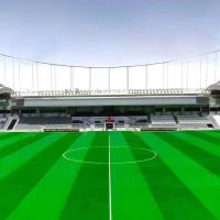 Césped sintético de fútbol escolar para campos de fútbol, ​​deportes al aire libre, alfombra de césped Artificial falso, césped de gimnasio - details 1