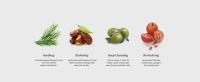 Key Ingredients