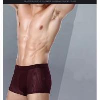 Calzoncillos de Seda Helada para Hombres Pantalones Cortos, Ropa Interior Transpirable, Bragas Anti-Bacterianos de Talla Grande L-5XL - details 5