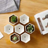 Bandeja de cerámica hexagonal blanca simple europea ETA, contenedor de plantas jugosas, bonsai pequeño ETA - details 3