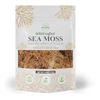 Holistic Depot Sea Moss - Raw Organic Sea Moss - Sun-Dried Raw Sea Moss From St. Lucia - Makes 5 ...