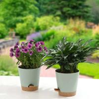 Planta de interior y exterior riego automático flor de alto drenaje ETA, con bandeja de almacenamiento, 7 pulgadas, 3 paquetes - details 4