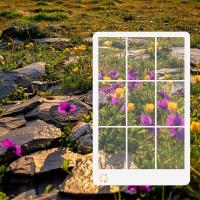 Fibonreci-buscador de vista de composición, visor de regla de posicionamiento de visualización de fotos, relación dorada, 3 piezas - details 6