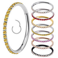 ASTM-Aro de segmento con bisagras de titanio, Circonia cúbica, para tabique nasal, pezón, golpe, Tragus, Hélix, Labret, Piercing para labio, joyería para el cuerpo, F136 - details 0