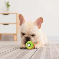 Juguete de Peluche para Mascotas Kiwifruit Avocado para Perros y Gatos - details 10