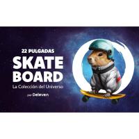 SKATEBOARDS