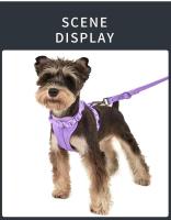 Juego arnés perros, chaleco sin tirones, arnés, Collar correa impermeable de PVC para perros pequeños, medianos y grandes - details 9