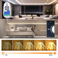 Tira de luces Led WIFI, tira de luces Led COB de alto brillo de 220V, cinta Flexible impermeable IP65 para iluminación de jardín al aire libre de habitación - details 5