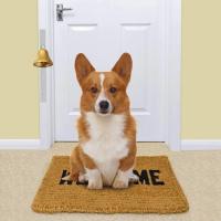 Campana colgante profesional para perros, timbre de entrenamiento de latón transparente fuerte con tornillos, suministros para mascotas, orinal - details 5