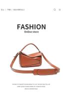 2025 Nuevo bolso de hombro para mujer: bolso de almohada acolchado geométrico de primavera, bolso cruzado con diseño de retales, mochila de lujo de alta gama Fashionab - details 0