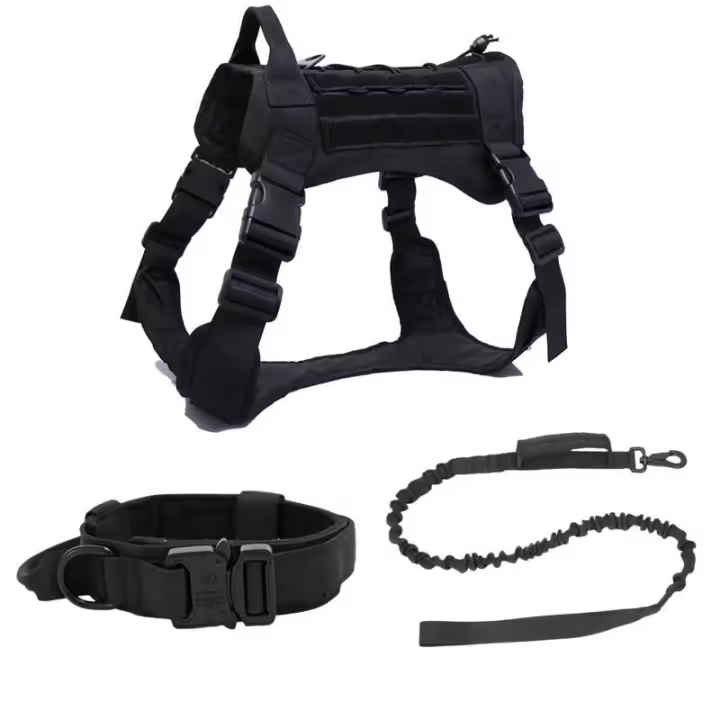 Correa de Entrenamiento al Aire Libre para Perros Medianos y Grandes Collar Incluido - 1