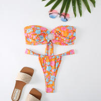 2024 New Split Bikini Printed Breasted Sexy Spicy Slim G-string Two Piece Swimwear Tight Beach Holiday Travel Swimwear Women - details 28