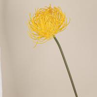 Flor de Leucospermum Artificial de tacto Real, elegante, hecha a mano, garra de cangrejo, crisantemos, alfiletero de plástico, rama de flor - details 5