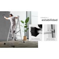 Escalera andamio