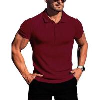 Ropa deportiva para correr para hombre, poste de pie de manga corta de alta elasticidad de verano, suéter básico de punto fino - details 24