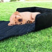 Hamaca de asiento de coche para perros, funda protectora 2 en 1 para mascotas, cesta impermeable para gatos - details 10