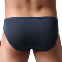Hombres Sexy De Tiro Bajo Bulto Pouch Calzoncillos Calzoncillos De Malla Ropa Interior Bragas Bikini Hombre Hombre Hollow Lencería Slips - details 2