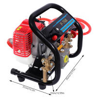 Pulverizador de motor de gasolina de 2 tiempos, pulverizador de alta presión,pistola pulverizadora - details 1