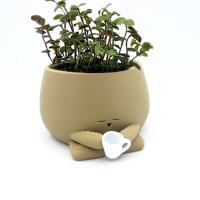 Cómoda bebida de jardinería ETA, pequeño soporte de aire, planta de interior ETA - details 1