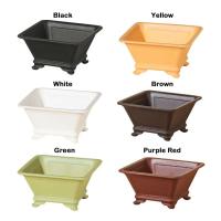 Arcilla púrpura de imitación ETA creativa, colorida, bricolaje, fregadero de cuatro lados, plantas duraderas, gruesas y jugosas, bonsái, jardinería - details 5