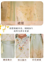 Falda Ma Mian, conjunto Hanfu de verano para niños, disfraz Tang mejorado de estilo chino para niña antigua, novedad de 2025 - details 5