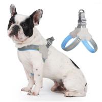 Harnés Reflectante para Perros Pequeños y Medianos Chihuahua, Bulldog, Gato - details 2
