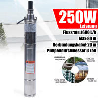 Bomba de Pozo Profundo Submersible de Acero Inoxidable Bomba de Agua Potente de 250 W con Tasa de Flujo Alta de 1600 L/h para Jardín - details 5