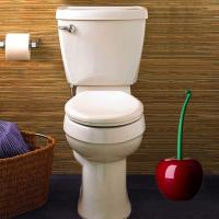Juego de escobilla de baño con forma de cereza encantadora y creativa, escobilla de baño compacta y oculta con soporte, herramienta de baño - details 2