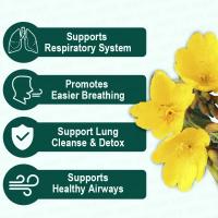 BetterLungs Detox Tea - 15 bolsitas de té de hierbas - Hoja de gordolobo, ginseng, saúco - details 2