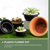 Flor de plástico ETA, plantas de interior, uso bonsái ETER, jugosa, 6 piezas. - details 2