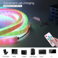 Luz de neón LED WS2812B RGB de 5V, cinta de píxeles flexible direccionable individualmente, Color de ensueño, tira de LED USB, lámpara de cuerda de silicona impermeable - details 3