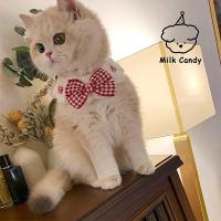 Collar de Gato con Lazo Bib, Guarda de Cuello de Punto, Cubierta de Boca de Mascota - details 5