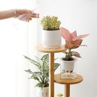 Ruedas, estantería para plantas de 5 niveles, estantería de esquina para múltiples macetas, soporte para plantas de bambú, estantería de exhibición para jardín/balcón - details 4