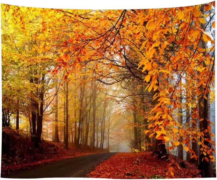 Tañuelo de Paisaje de Otoño Imagen de Arte Relaxante de Árboles con Niebla Mañanera en Bosque - 1