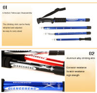 Bastones de Trekking plegables de 4 secciones, palo de escalada portátil para exteriores, accesorio de senderismo, bastón de Camping - details 6