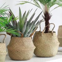 Cestas de almacenamiento Naturales de algas marinas, maceta de flores de estilo nórdico, cesta de plantas, bolsa de cultivo tejida de paja, maceta colgante, decoración del hogar - details 5