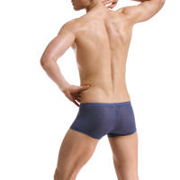Ropa interior sexy para hombre Mini bóxer de seda de hielo Bragas ultrafinas transparentes Transparente Calzoncillos Homme Cuecas - details 16