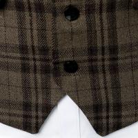 Chaleco de traje formal para hombre, chaleco de tweed con cuello en V, chalecos de traje de vestir para negocios para boda - details 12