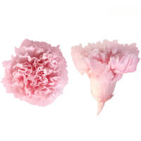 8 Gradiente Flores de hoja perenne Claveles Exquisita caja de regalo Madre Noel Día de San Valentín Día de la Mujer Regalos para - details 7