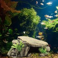 Hábitat para esconder reptiles, caja para reptiles, terrario, cuevas escondidas para tortuga, acuario, terrario, decoración, adorno - details 3