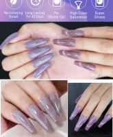 Arte Clavo-esmalte de uñas de Gel magnético, esmalte de uñas de gato de cristal 9D, brillante, camaleón, semipermanente, Soak Off - details 7