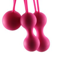 Bola inteligente con mancuernas genitales femeninas, masaje vaginal femenino, productos sexuales para adultos - details 9