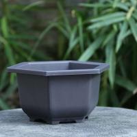 Plantas jugosas cuadradas, ovaladas, hexagonales, bonsái, pequeño éter de plástico en ETA, imitación cerámica morada, venta al por mayor - details 5