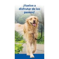 PetSafe, Adaptador de instalación para puertas de aluminio y para condiciones climáticas extremas para perros y gatos, válido para puertas con un espesor de hasta 38 mm, tamaño XL - details 15