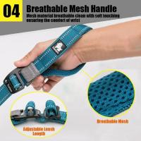 Truelove-Correa de nailon ajustable para mascotas, accesorio manos libres con mosquetón para entrenamiento de perros, TLL2671 - details 6