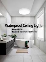 Lámpara de techo Led redonda con marco plateado, iluminación de brillo blanco Natural, 24W, 36W, 48W, luces de techo para decoración de dormitorio y sala de estar - details 0