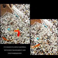 Caja de aislamiento acrílica para pecera, caja de incubación de acuario de montaje en pared de calibre de 3mm con cubierta, caja de cría de peces dorados Betta - details 1