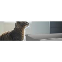 Caja grande de metal extra para gatos
